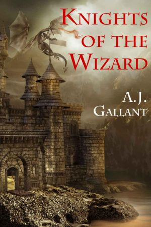 [Of Knights and Wizards 01] • Knights of the Wizard (of Knights and Wizards Book 2)